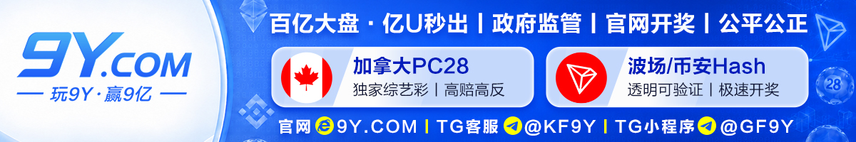 9Y国际